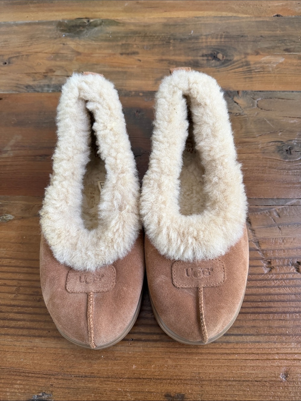 UGG slippers